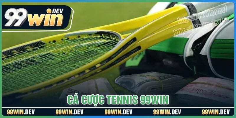 Cá cược Tennis - Cách cá cược dễ hiểu chi tiết, mẹo đánh