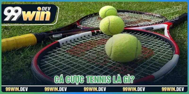Cá cược tennis là gì? Cá cược tennis là gì?
