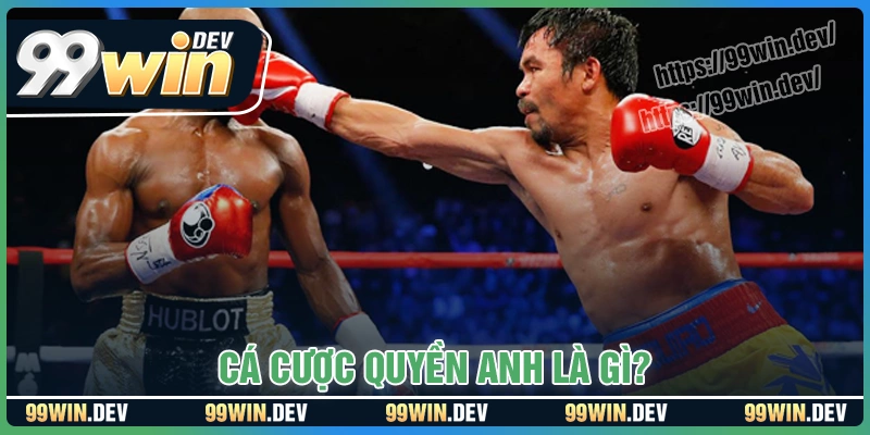 Cá cược Quyền Anh là gì?