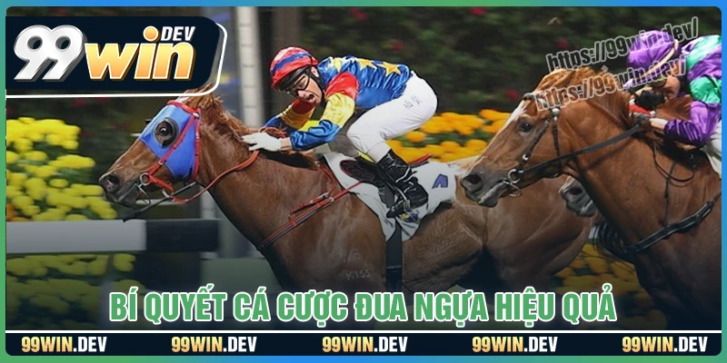 Bí quyết cá cược đua ngựa hiệu quả từ các cao thủ