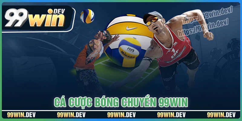 Cá độ bóng chuyền - Sân chơi đa dạng, tỷ lệ kèo cao
