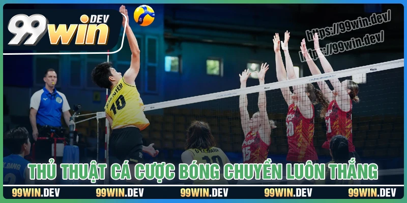 Chiến lược cá độ bóng chuyền 99WIN dễ trúng Chiến lược cá độ bóng chuyền 99WIN dễ trúng