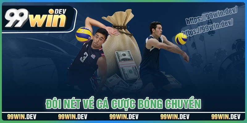 Đôi nét về cá độ bóng chuyền Đôi nét về cá độ bóng chuyền
