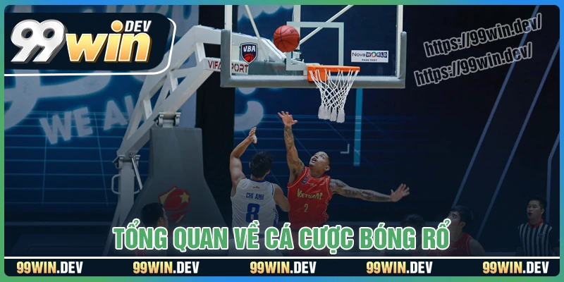Tổng quan về cá cược bóng rổ 99win